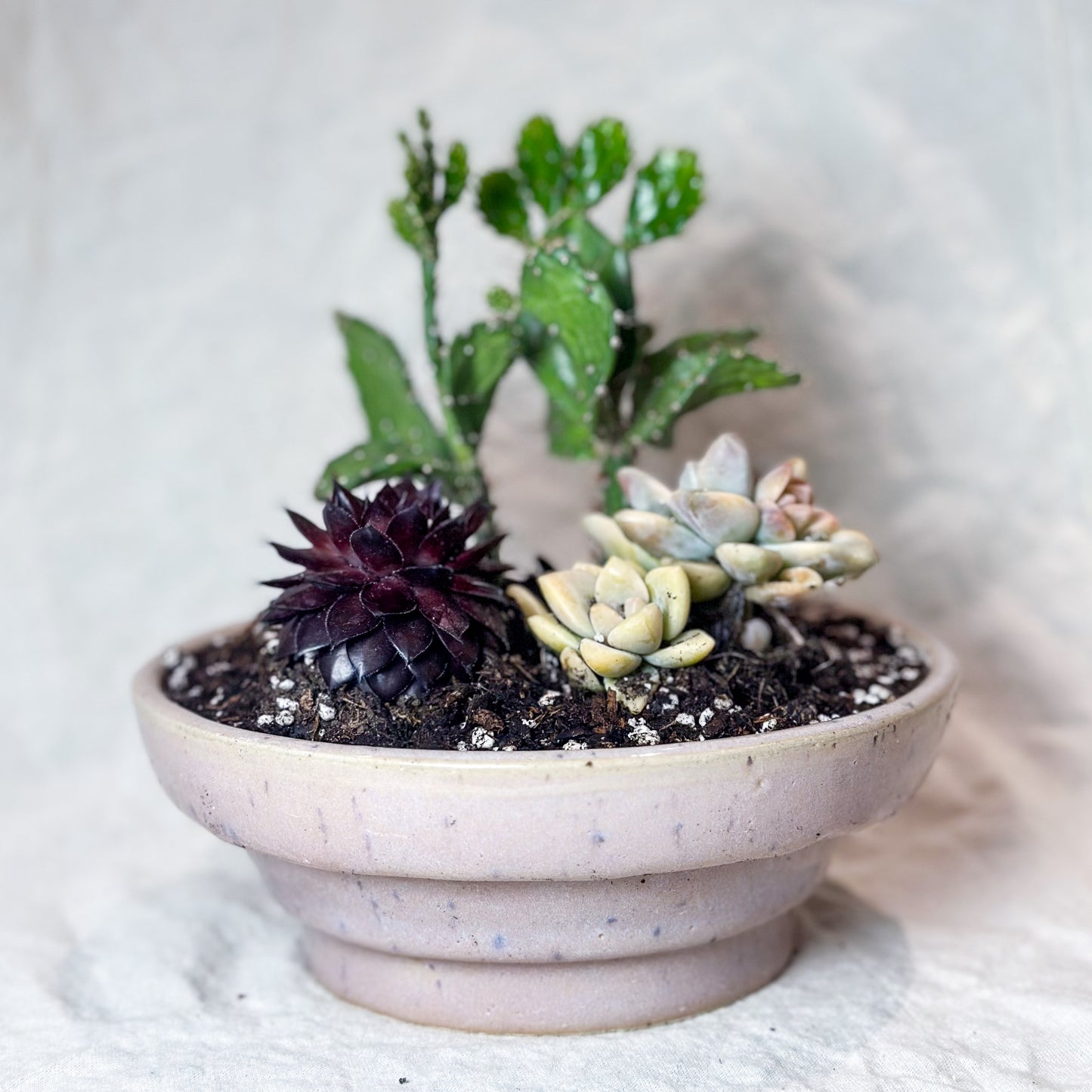 Planter