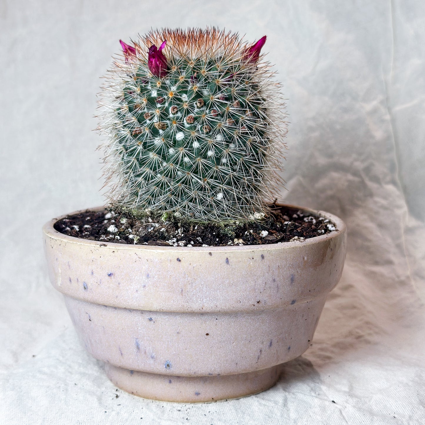 Planter