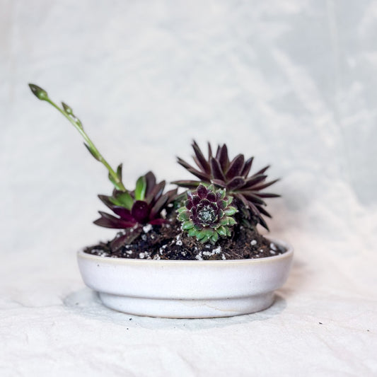 Planter