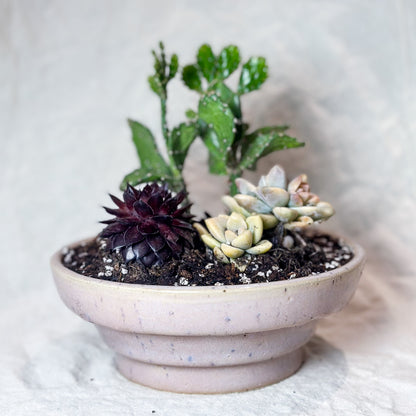 Planter