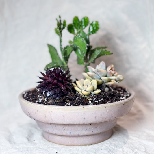 Planter